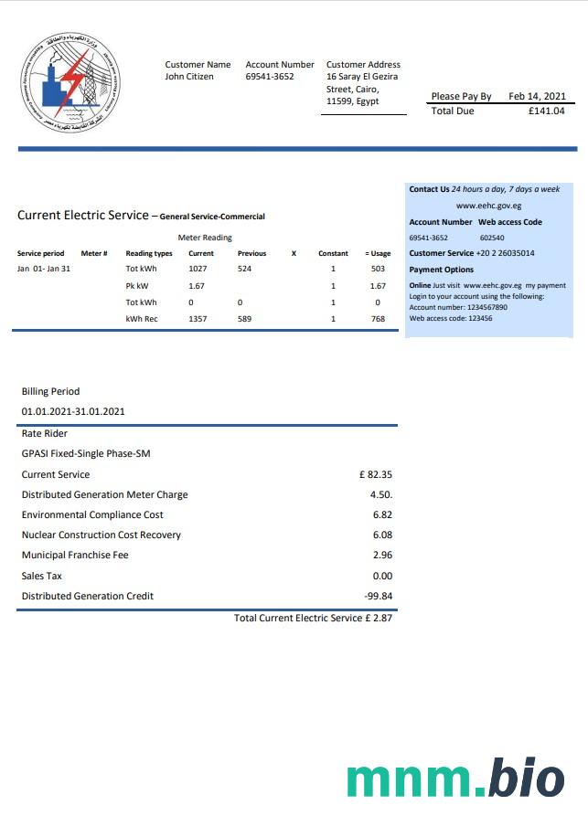 Egipt egipski szablon rachunku za energię elektryczną w formacie Word i PDF